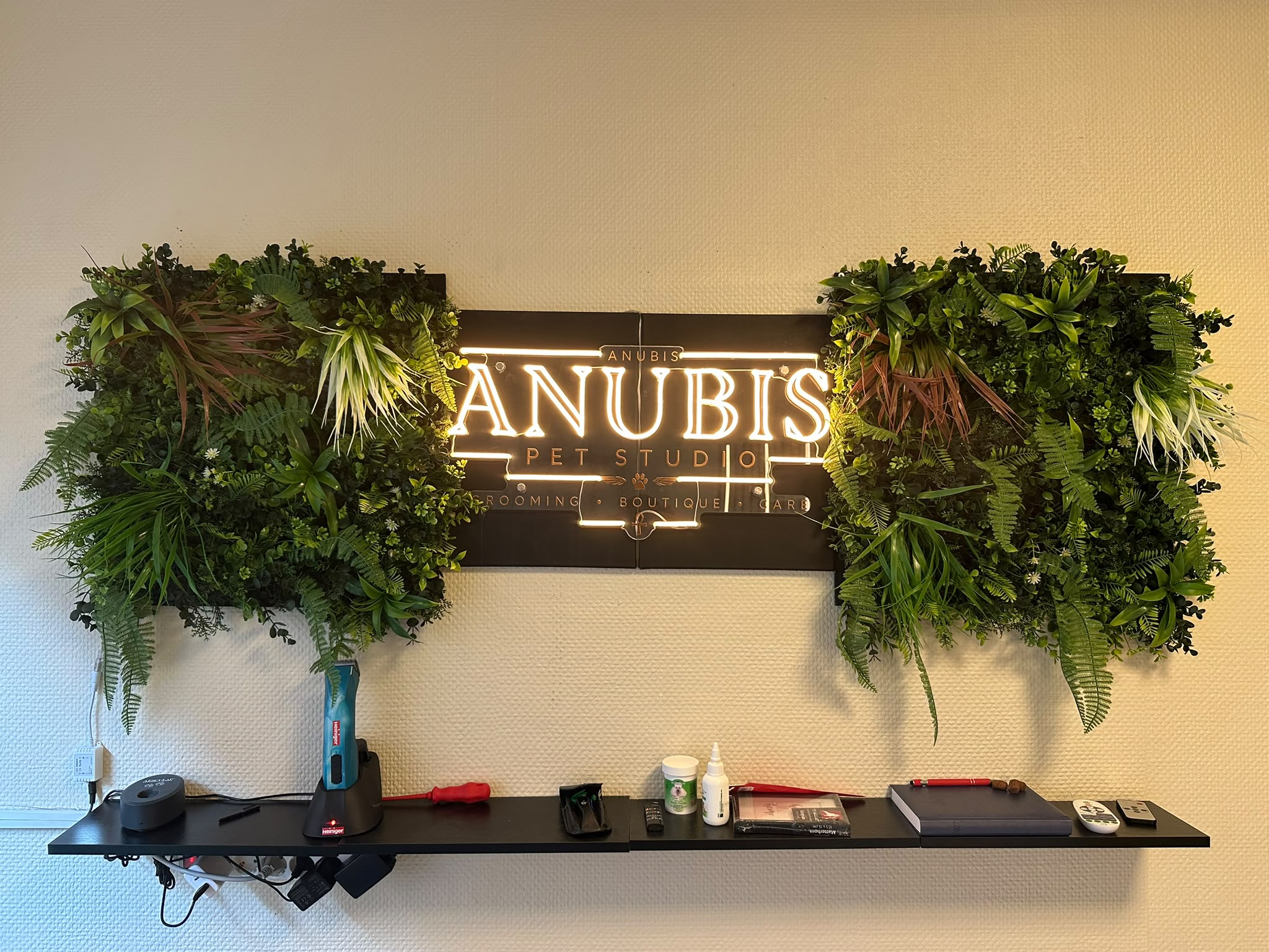 Anubis-Schild mit grünen Pflanzen im Studio