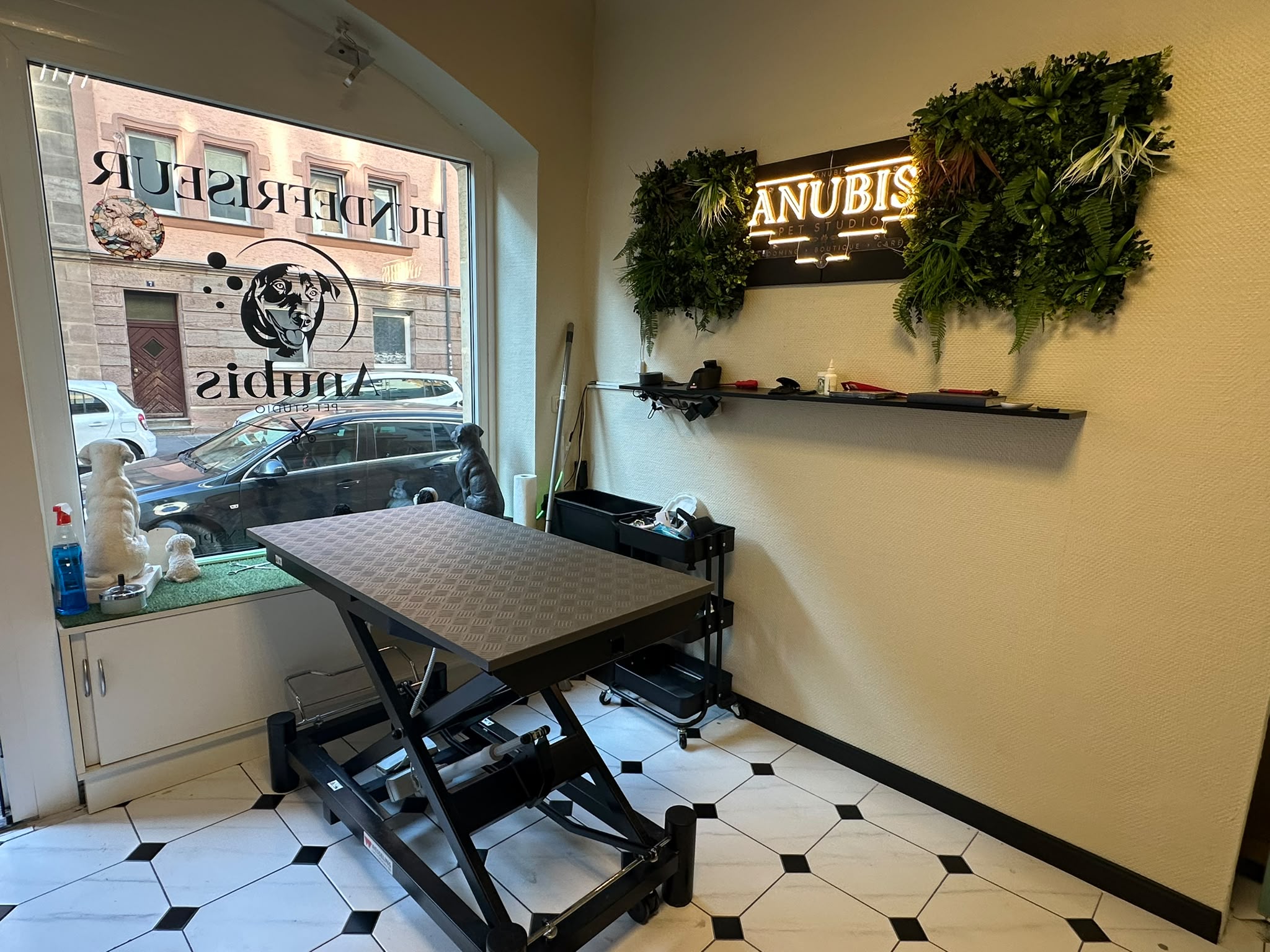 Grooming-Tisch im Anubis Pet Studio